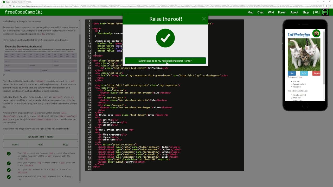 freeCodeCamp's site page